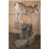 Image 6 : XXL Life-sized DESERT SHEEP on a Rocky Base with Wheels