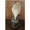 Image 9 : XL Life-sized MOUNTAIN GOAT on a Rocky Base with Wheels
