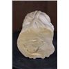 Image 6 : *TEXAS RESIDENTS ONLY* ELEPHANT IVORY Tusk Bust of a Fulani Woman from West Africa