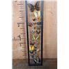 Image 7 : *Brand New* 24 BUTTERFLY Collection in a Glass Display