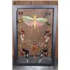 Image 1 : *Brand New* Collection of 11 GRASSHOPPERS and BEETLES in a Display Frame