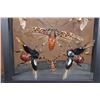 Image 5 : *Brand New* Collection of 11 GRASSHOPPERS and BEETLES in a Display Frame