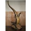 Image 10 : XXL *Real Skin* "Swimming" CROCODILE on a Decorative Base with Wheels