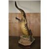 Image 11 : XXL *Real Skin* "Swimming" CROCODILE on a Decorative Base with Wheels