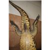 Image 13 : XXL *Real Skin* "Swimming" CROCODILE on a Decorative Base with Wheels