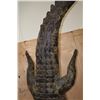 Image 8 : XXL *Real Skin* "Swimming" CROCODILE on a Decorative Base with Wheels