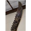 Image 9 : XXL *Real Skin* "Swimming" CROCODILE on a Decorative Base with Wheels