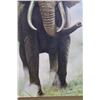 Image 4 : Big Original Elephant Painting Signed "Qua" in a Wood Frame