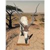 Image 3 : *TEXAS RESIDENTS ONLY* Huge #2 (When "Taken") Record Book Life-sized ADDAX on a Wood Base