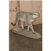 Image 1 : Life-sized African WILDCAT on a Natural Base
