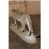 Image 5 : Life-sized African WILDCAT on a Natural Base