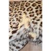 Image 13 : *TEXAS RESIDENTS ONLY* Life-sized LEOPARD on Bolts with No Base