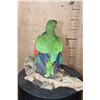 Image 5 : *Rarely Seen* WHITE-FRONTED AMAZON PARROT Perched on a Driftwood Base
