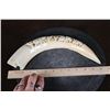 Image 6 : Large Hand-carved HIPPOPOTAMUS Tusk Featuring Elephants and Trees