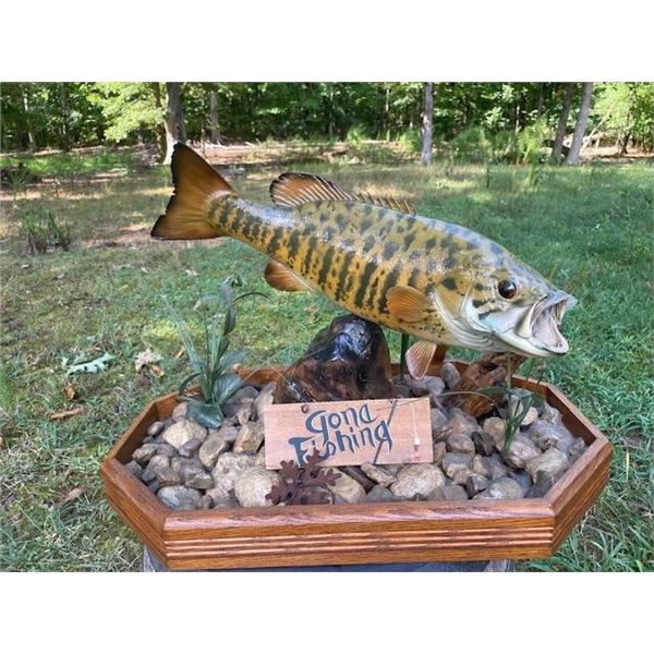 *Real Skin* SMALLMOUTH BASS Fish Mounted on a Natural "River Bottom" Base