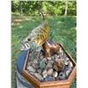 Image 3 : *Real Skin* SMALLMOUTH BASS Fish Mounted on a Natural "River Bottom" Base
