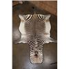Image 1 : ZEBRA Hide or ZEBRA HIDE Rug with Carpet Backing and Leather Piping