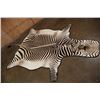 Image 2 : ZEBRA Hide or ZEBRA HIDE Rug with Carpet Backing and Leather Piping