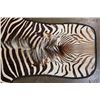 Image 3 : ZEBRA Hide or ZEBRA HIDE Rug with Carpet Backing and Leather Piping