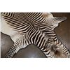 Image 4 : ZEBRA Hide or ZEBRA HIDE Rug with Carpet Backing and Leather Piping