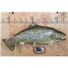 Image 1 : Big Reproduction BROWN TROUT from the Collection of  Sam Snead