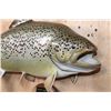 Image 3 : Big Reproduction BROWN TROUT from the Collection of  Sam Snead