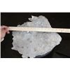 Image 3 : Huge XXL Natural Arkansas CLEAR QUARTZ Crystal Cluster
