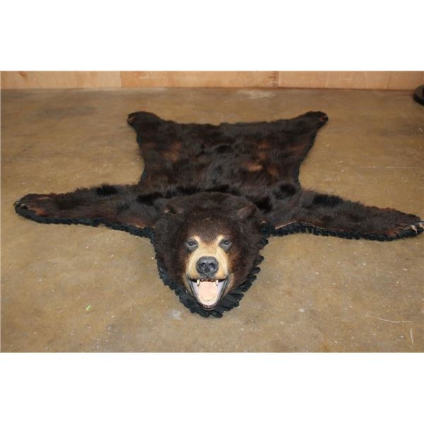American BLACK BEAR Hide Rug with a Felt and Canvas Backing