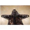 Image 4 : American BLACK BEAR Hide Rug with a Felt and Canvas Backing