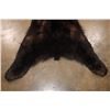 Image 5 : American BLACK BEAR Hide Rug with a Felt and Canvas Backing