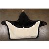 Image 6 : American BLACK BEAR Hide Rug with a Felt and Canvas Backing