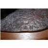 Image 3 : XL Original "Vanishing Giant" Bronze SCULPTURE #30/30 by Paul Tadlock on a Wood Base