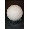 Image 5 : Big HONEY ONYX Mineral Sphere with an Orthoceras Fossil Stand