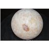 Image 8 : Big HONEY ONYX Mineral Sphere with an Orthoceras Fossil Stand