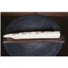 Image 6 : XL Scrimshawed HIPPOPOTAMUS Ivory Tusk Featuring a Lion Eating Zebra Displayed on a Wood Stand