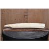 Image 7 : XL Scrimshawed HIPPOPOTAMUS Ivory Tusk Featuring a Lion Eating Zebra Displayed on a Wood Stand