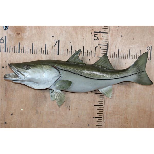 Big Reproduction COMMON SNOOK Fish from the Sam Snead Collection