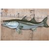 Image 1 : Big Reproduction COMMON SNOOK Fish from the Sam Snead Collection