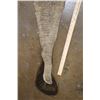 Image 4 : *Real Skin* ELEPHANT Tail