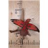 Image 1 : "Flying" RED LORY PARROT on a Driftwood Wall Hanging Base