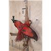 Image 2 : "Flying" RED LORY PARROT on a Driftwood Wall Hanging Base