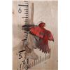 Image 3 : "Flying" RED LORY PARROT on a Driftwood Wall Hanging Base