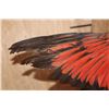 Image 4 : "Flying" RED LORY PARROT on a Driftwood Wall Hanging Base