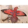 Image 6 : "Flying" RED LORY PARROT on a Driftwood Wall Hanging Base