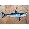 Image 1 : Reproduction SHORTFIN MAKO SHARK with *Real* Jaws and Teeth