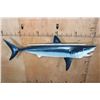 Image 4 : Reproduction SHORTFIN MAKO SHARK with *Real* Jaws and Teeth