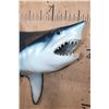 Image 5 : Reproduction SHORTFIN MAKO SHARK with *Real* Jaws and Teeth