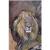 Image 3 : Beautifully detailed ELEPHANT HIDE "Big 5" Painting Signed by South African Artist Stella Pelser.