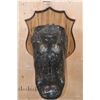 Image 4 : XXL *Real Skin* ALLIGATOR Head on a Wood Plaque
