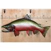 Image 1 : XL Reproduction COHO SALMON Fish Mount in the "Spawning Phase"